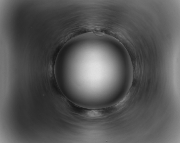 X0000090610183200707171423