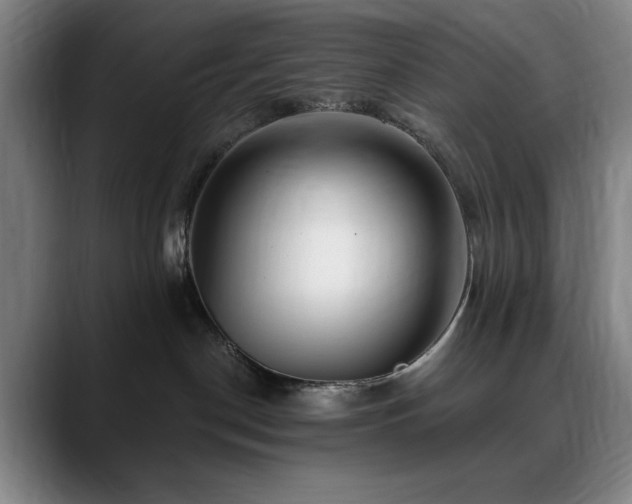 X0000090610190200707171424