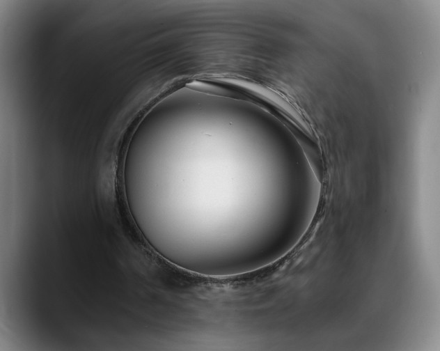 X0000090610194200707171423