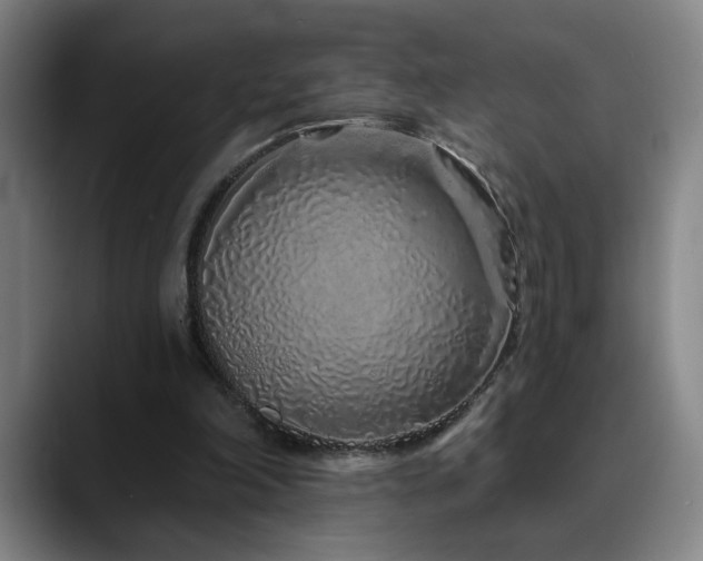 X0000090610198200707171423