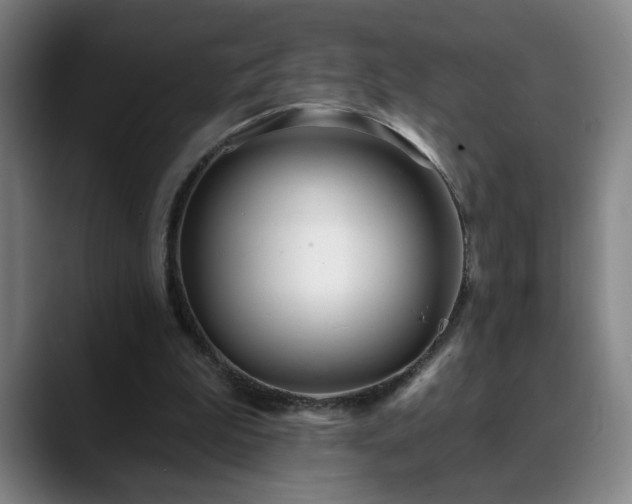 X0000090610199200707171423