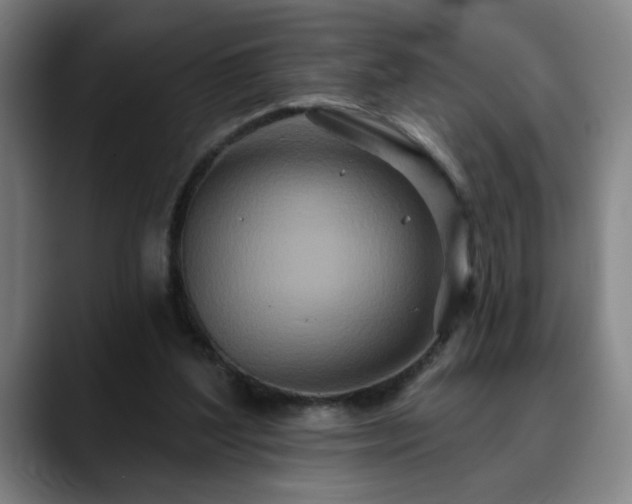 X0000090610204200707171423