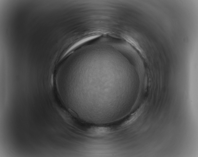 X0000090610205200707171423