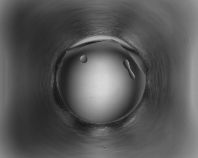 X0000090610206200707171423