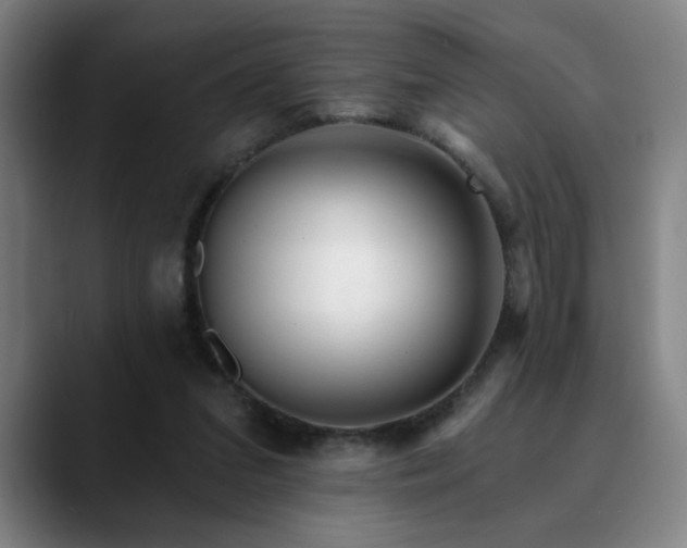 X0000090610207200707171423