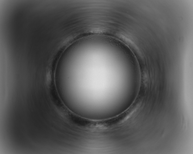 X0000090610208200707171423