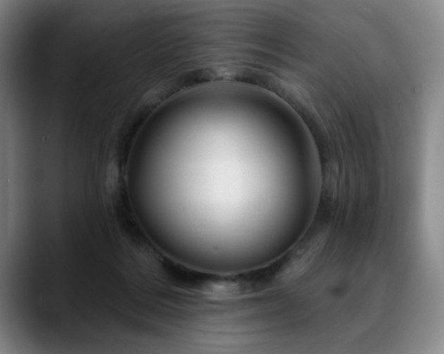 X0000090610220200707171423