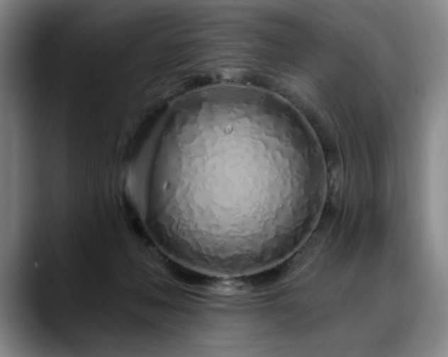 X0000090610222200707171423