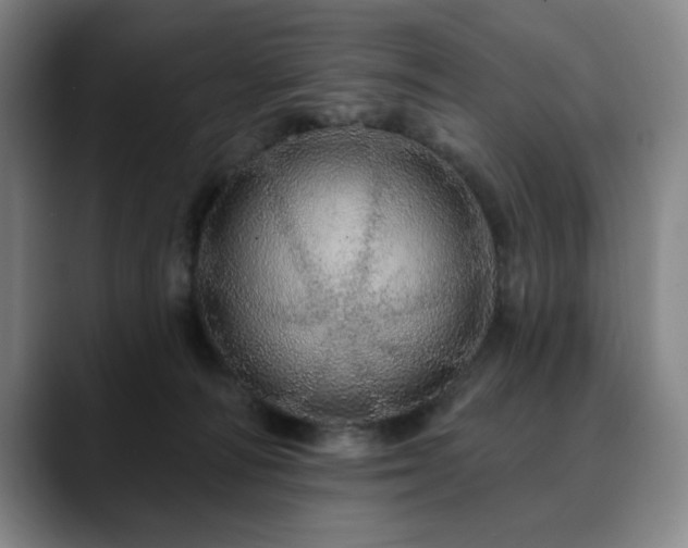 X0000090610226200707171423