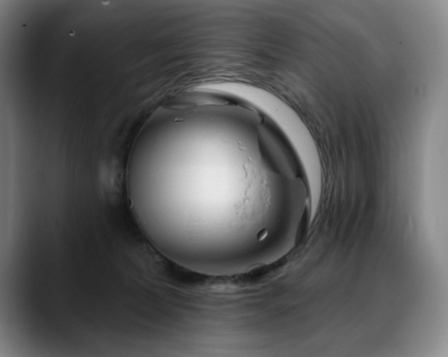 X0000090610228200707171423