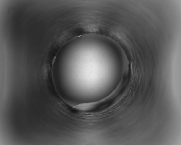 X0000090610229200707171423