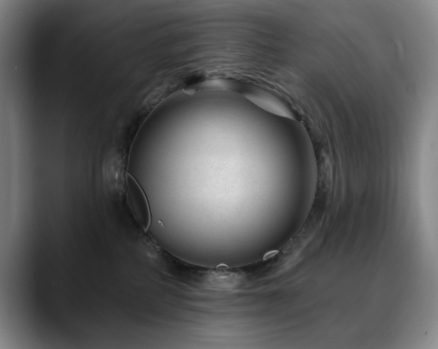 X0000090610234200707171422