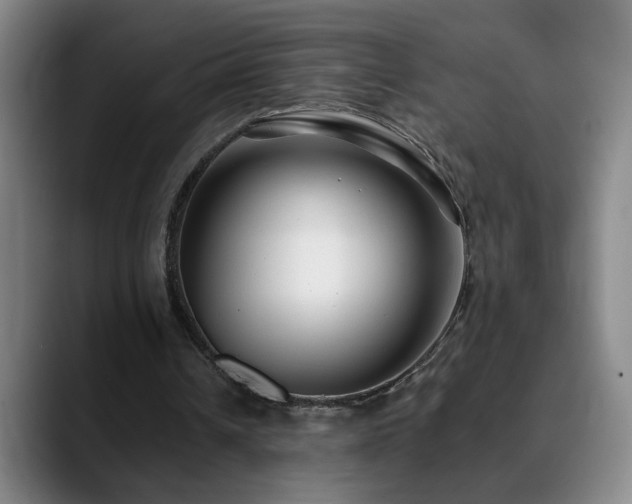 X0000090610242200707171422