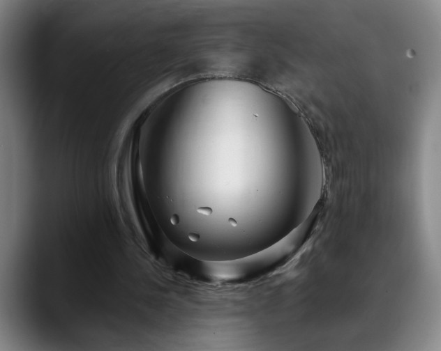 X0000090610244200707171422