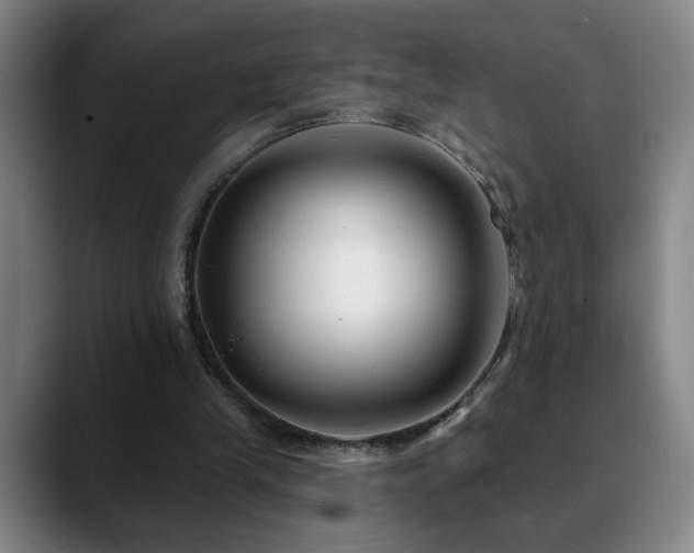 X0000090610245200707171422