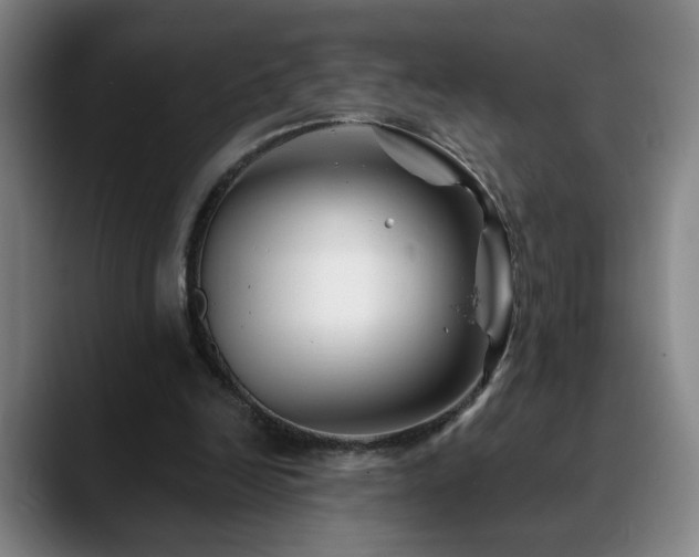 X0000090610246200707171422