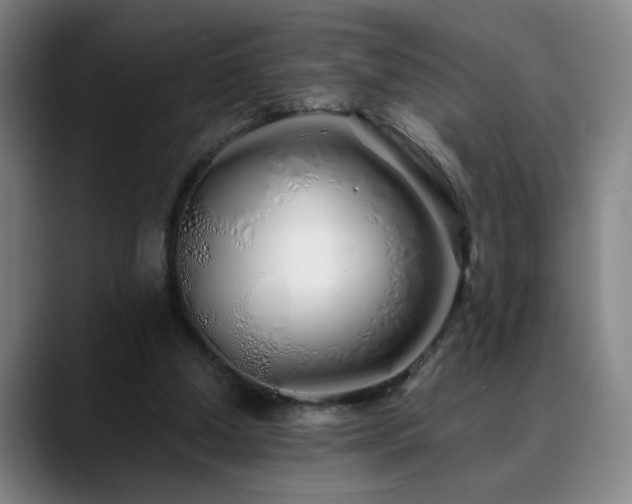 X0000090610250200707171422