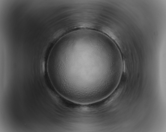 X0000090610253200707171422