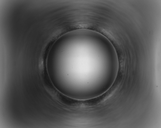 X0000090610254200707171422