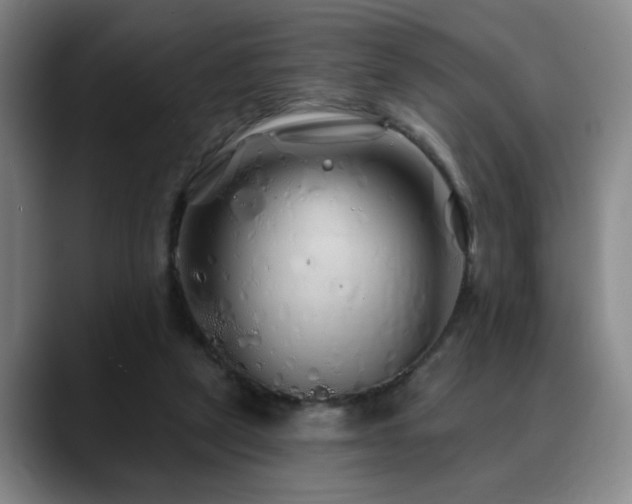 X0000090610257200707171422