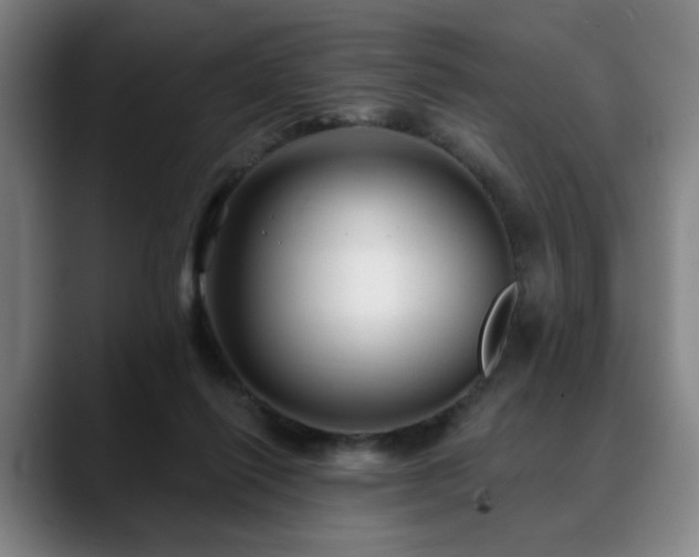 X0000090610262200707171422