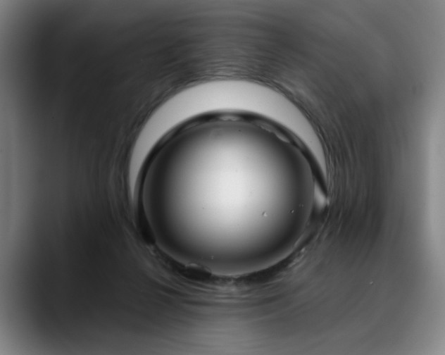 X0000090610264200707171422