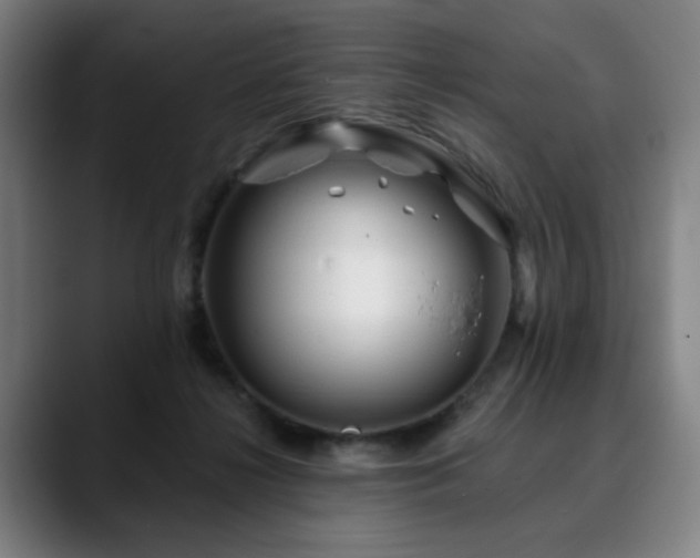 X0000090610268200707171422