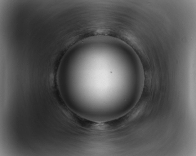 X0000090610269200707171422