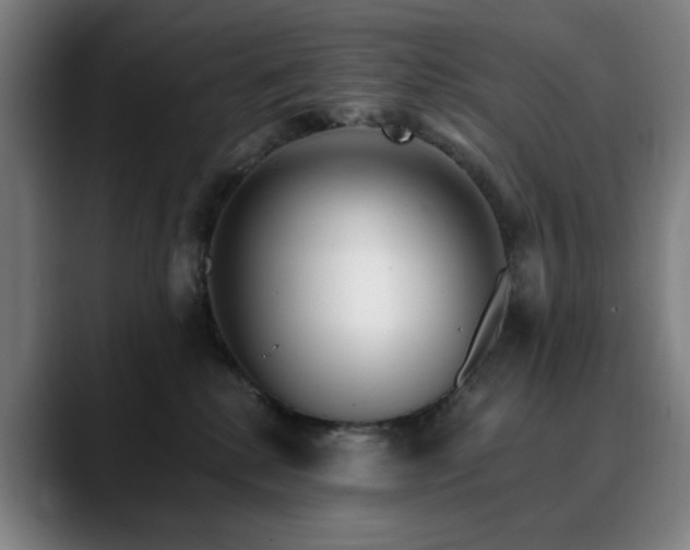 X0000090610280200707171422