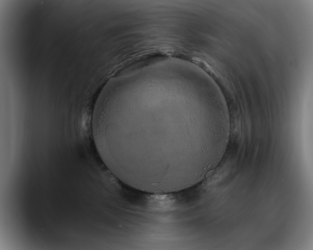 X0000090610281200707171422