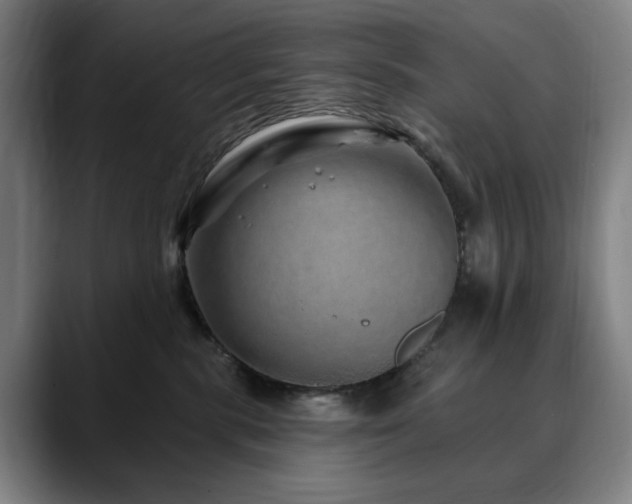 X0000090610283200707171422