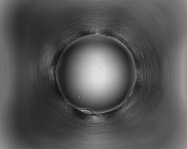 X0000090610286200707171422