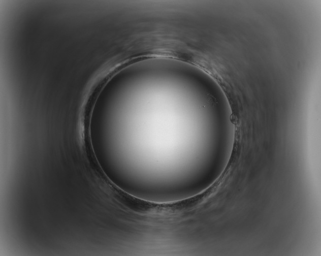 X0000090610294200707171422