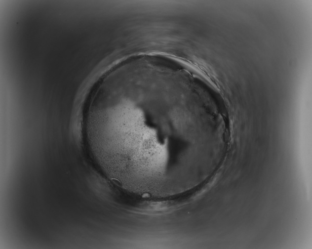 X0000090610295200707171422