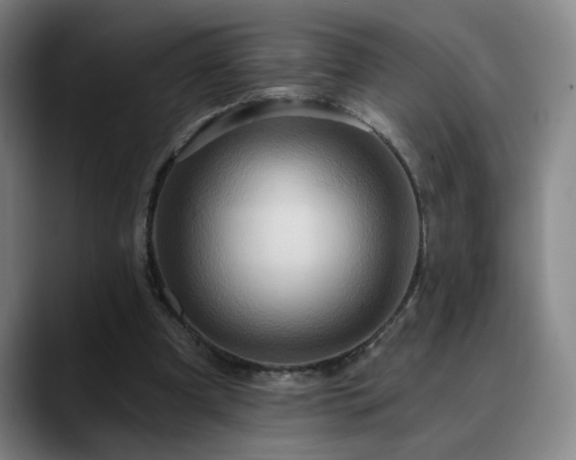 X0000090610297200707171422