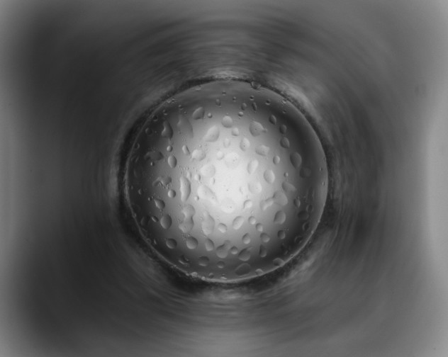 X0000090610299200707171422