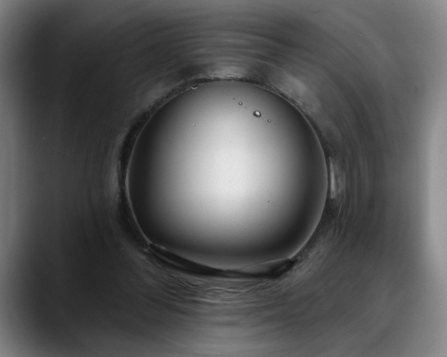 X0000090610300200707171422