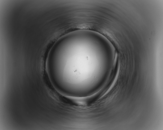 X0000090610303200707171422