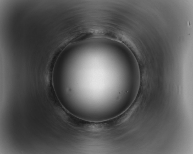 X0000090610305200707171422