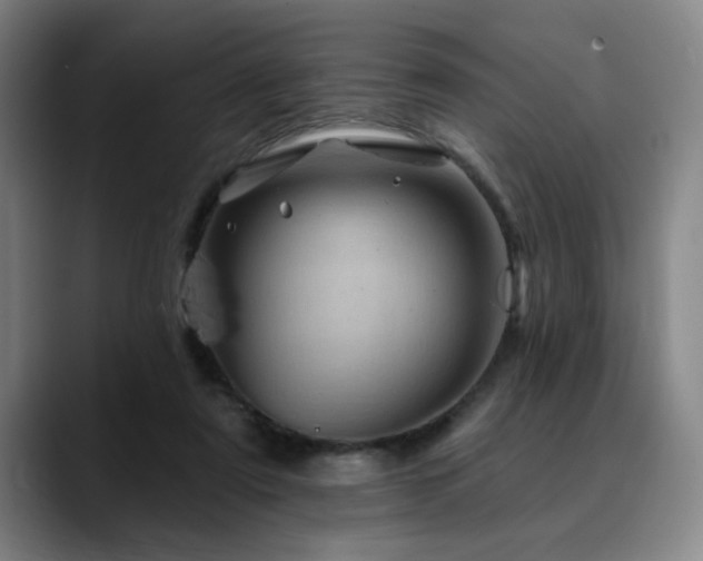 X0000090610307200707171422