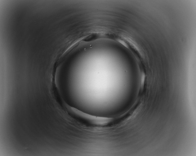 X0000090610309200707171421