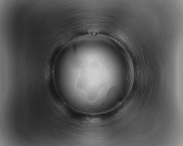 X0000090610311200707171421