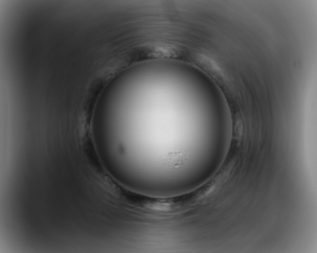 X0000090610318200707171421