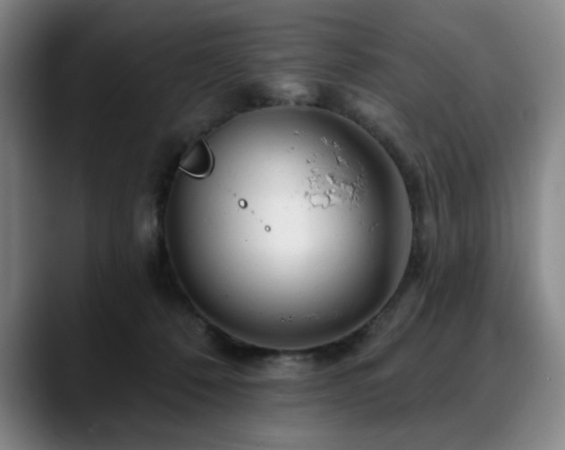 X0000090610320200707171421