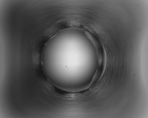 X0000090610323200707171421