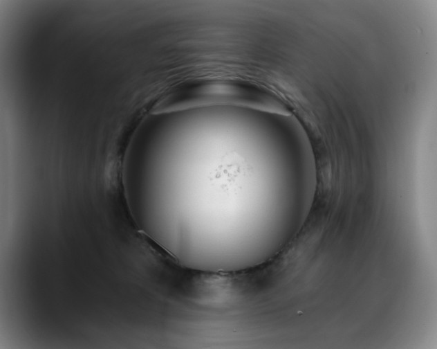 X0000090610325200707171421