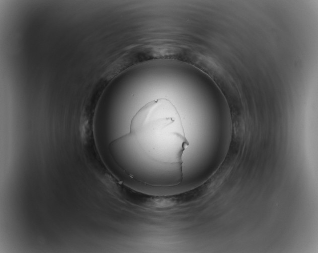 X0000090610327200707171421