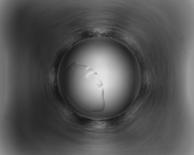 X0000090610328200707171421