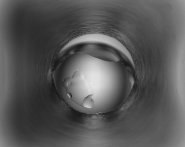 X0000090610329200707171421