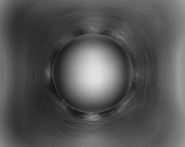 X0000090610334200707171421